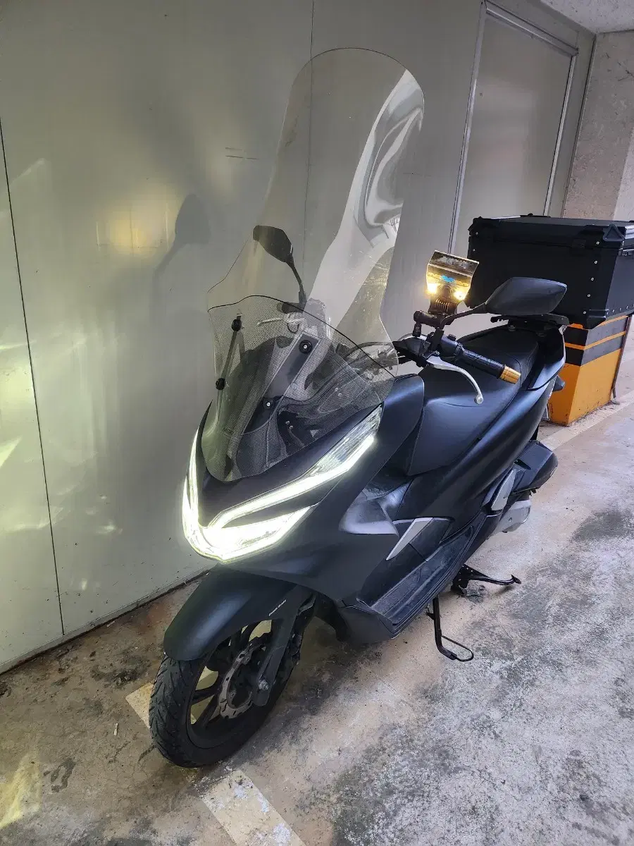 pcx 125 19년식